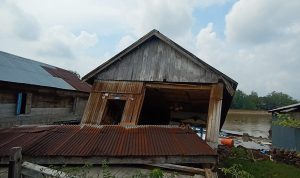 482DC6C3-0823-4109-B1EF-E7B98D7ABFA0