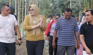 C86C232B-2F39-4F8B-A8C6-C27E03ADA63B